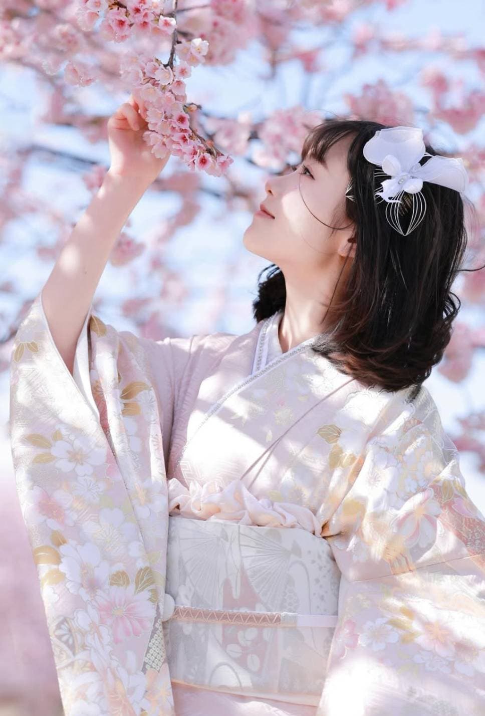 成人式 豪華振袖